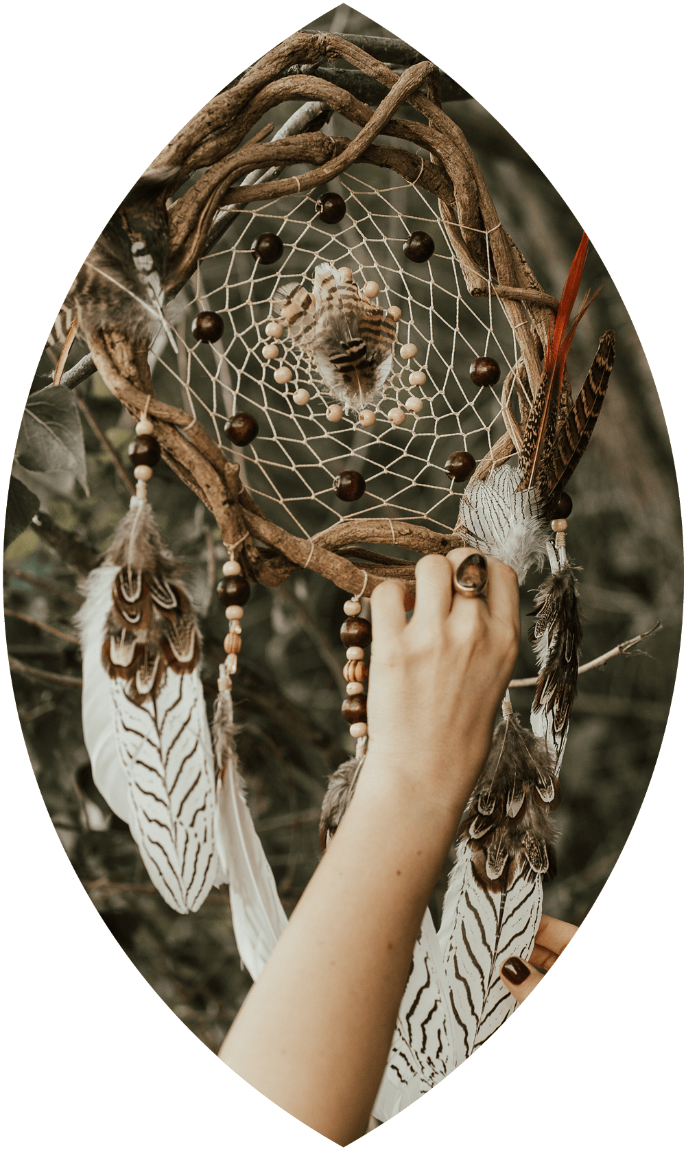 Saralù Petrozzi Spiritual Coach - Manifestare la Dea Creatrice