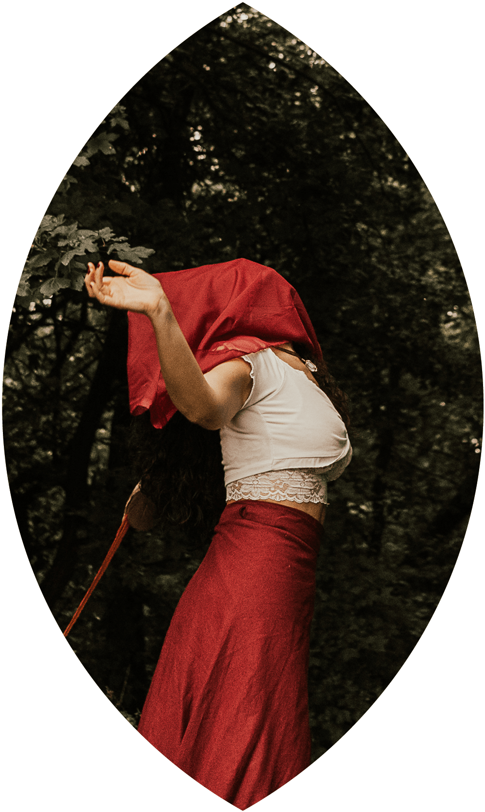 Saralù Petrozzi Spiritual Coach - Selvatica - Ritiro di tre giorni